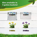 Digger’s 1-Gallon Heavy-Duty Wire Basket - Gopher Wire Basket for Perennials & Vegetables (12 Baskets) by GreenHaven Gardens