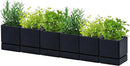 4 Inch Herb Planter Pot, Plastic Planter with Drainage Holes and Saucer, Modern Decorative Gardening Pot for Indoor Plants, Flowers, Herbs, Succulents, Black, Set of 6, 76-Y-B-6 by GreenHaven Gardens