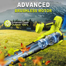 Cordless Leaf Blower, 550CFM (160MPH) Brushless Turbo Blower, 24V High Power Battery Powered Leaf Blowers with 2x4.0Ah Battery & Charger, Electric Blowers Variable Speeds for Lawn&Garden by GreenHaven Gardens