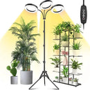 LORDEM Grow Light for Indoor Plants, 7.9" Diameter Tri-Head Plant Light for Plants Growing, Full Spectrum Growth Lamp with Auto Timer 3/6/12H, 4 Dimmable Levels, 3 Lighting Modes, Adjustable Stand by GreenHaven Gardens