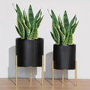 ARNIS Modern Planter Pots, Set of 2 Round Large Planters with Stand, Decorative Planters, Metal Pots with Drainage Holes for Living Room, Office, Garden or Balcony, 8.25 &10.5 Inch, Black & Gold by CozyNest Decor