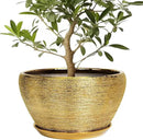 Ceramic Planter 13 Inch - Indoor Plant Pot with Drainage Hole and Saucer Large Ceramic Pot for Plants Mid-Century Decorative Modern Outdoor Flower Pot for Home Decor Gold by GreenHaven Gardens