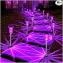 DenicMic Solar Lights Outdoor Pathway Lights LED Waterproof Acrylic Lamp Head Stainless Steel Stake for Yard Garden Landscape Path Walkway Driveway Patio Lawn (Purple 15Pack) by GreenHaven Gardens