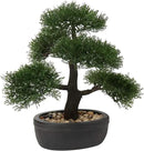 Artificial Bonsai Tree Juniper Faux Plants Indoor Small Fake Plants Decor with Black Plastic Pots for Home Table Office Desk Bathroom Shelf Bedroom Living Room Farmhouse Decorations by GreenHaven Gardens