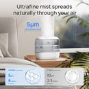 Dreo Top Fill 4L Humidifiers for Bedroom, 36H Runtime, 28 dB Quiet Cool Mist Supersized Air Humidifier for Large Room, Plants, Baby Nursery, Indoor, Night Light, Easy to Clean & Fill, Gray by TinyTreasures Baby Boutique