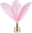 THARAHT 12PCS Ostrich Feathers Natural Bulk 16-18Inch(40-45cm) for Wedding Party Centerpieces Easter Gatsby Flower Arrangement and Home Decorate Ostrich Feathers,Pink by CozyNest Decor
