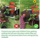 6 Pcs Plant Pot Grid Cover Protectors from Animals- Diameter 11.8" Cuttable Flower Pot Cover with 48 Stakes, Keep Cats Out of Potted Plants, Cat Digging Stopper Baby Safety Soil Cover for Indoor by GreenHaven Gardens