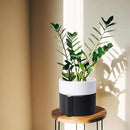 Phoenix Vine 6.5 Inch Self-Watering Planter Pot with Terracotta Insert, Deep Water Reservoir, and Ceramic-Alike BPA-Free Plastic Pot for Plant, Modern Planter for Houseplants, Black/White, 53-C-S-7 by GreenHaven Gardens