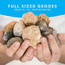 National Geographic Break Open 10 Premium Geodes – Includes Goggles & 2 Display Stands - Great STEM Science Kit, Geology Gift for Kids, Break Your Own Geodes with Crystals by TinyTreasures Baby Boutique