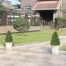 30" Artificial Boxwood Faux Plants Outdoor, UV Resistant Topiary Trees Realistic Cone-Shaped Fake Bushes and Shrubs Potted Fakeplants Set of 2 for Front Porch Patio Outside Planter Decor by GreenHaven Gardens