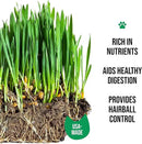 The Cat Ladies Organic Cat Grass Growing kit with Organic Seed Mix, Soil and Ceramic Planter with Bamboo Tray. Natural Hairball Control and Remedy for Cats by GreenHaven Gardens