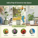 Vego garden Tomato Planter Box with Trellis Self-Watering Rolling Raised Garden Bed for Climbing Vegetables Plants Cage - Sage Green by GreenHaven Gardens