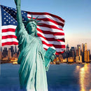 AZCOVER American Flag 8x12 FT Us Flag for Outside USA Heavy Duty Nylon American Flags for Outdoor with Embroidered Stars Sewn Stipes and Brass Grommets All Weather Lasting United States Flag by GreenHaven Gardens