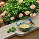 6.5" Ceramic Birdbath Bowl Wild Bird Feeder Food Holder Container Feeding Tray for Outside Bee Bird Water Bath Outdoor Garden Courtyard Decoration(Small) by GreenHaven Gardens