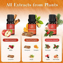 ASAKUKI Essential Oils for Diffusers for Home, Fragrance Oil for Candle Making, Peppermint, Vanilla Cupcake, Sparkling Cinnamon, Spiced Pumpkin, Christmas Wreath and Apple Cinnamon 6 x 10 ml by CozyNest Decor