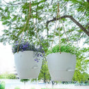 8 inch Hanging Planters, 2 Pack Self Watering Hanging Pots with 20oZ Deep Reservoir for Indoor Outdoor Plants Flowers, White by GreenHaven Gardens