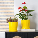 Ton Sin Plant Pots, 6 Inch Flower Pots for Plants,Ceramic Planter with Drainage Holes,Indoor Planter Pots with Saucer,Outdoor Garden Pots (Yellow, 4 Pack) by GreenHaven Gardens