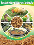 Mealworms Chicken Treats 3 Lbs with Handle Packing, High-Protein Promote Egg Production, Natural Chicken Feed for Laying Hens Wild Birds Ducks by GreenHaven Gardens