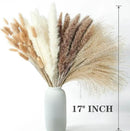 300 PCS Dried Flower Bouquet – Pampas Grass, Floral Decor for Home, Wedding, and Boho Style | Perfect for Vases, Fall, Spring, Summer, and Winter Arrangements by CozyNest Decor