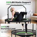 BCAN 40"/48" Mini Rebounder Trampoline for Adults with Bar, 450/550LBS Fitness Trampoline with Bungees, Adjustable Handle, Stable & Quiet, Indoor Outdoor, Whole-Body Workout & Relaxation at Home by TinyTreasures Baby Boutique