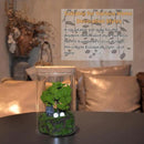 Oakwell Eternal Nature Desktop Ornament, a Miniature Scene Model with LED Light, a Gift for Yourself and Friends, Suitable for Decorating Scenes Such as Office Desks, Closets, Bedrooms, etc.