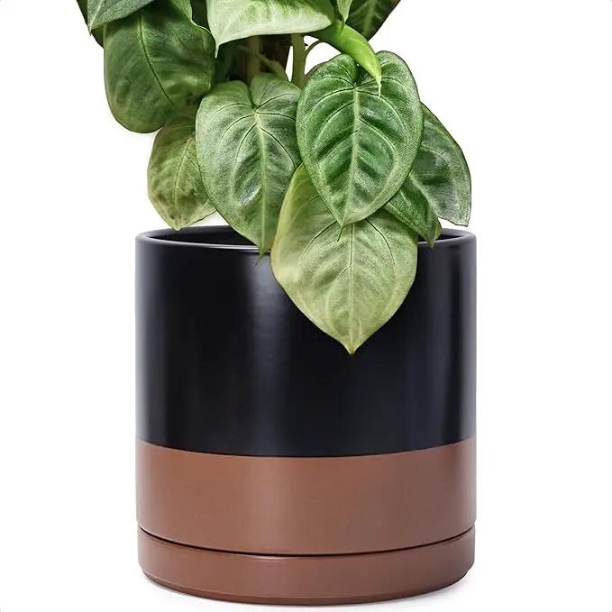 D'vine Dev 12 Inch Ceramic Planter Pot with Drainage Hole and Saucer, Indoor Cylinder Round Planter Pot, Black/Speckled Tan, 94-O-F-7, photo 7 of 7