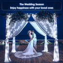 JMEXSUSS 66ft 200 LED White Christmas Lights Indoor Bedroom, Connectable White String Lights Outdoor Clear Wire, 8 Modes Twinkle String Lights Plug in for Room Tree Wedding Christmas Decoration by GreenHaven Gardens