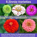 NatureZ Edge Zinnia Seeds for 2025 Planting Outdoors, Over 650 Flower Seeds, 5g, Non GMO Made in USA, Bulk Semillas De Flores para Sembrar, Variety Mix, Easy to Grow Zinnia Seed Mix by GreenHaven Gardens