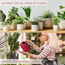 Watering Can Indoor Plants, 35oz Small Stainless Steel Metal Watering Can Modern Decorative Watering Pot with Long Spout for Indoor House Plant Bonsai Garden Flowers (Red) by GreenHaven Gardens