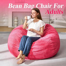 3.5FT Bean Bag Chairs Teardrop Bean Bag Chair for Adults Beanbag Chair with Memory Foam Filled Machine Washable Cover for Living Room, Bedroom (Large,Pink) by TinyTreasures Baby Boutique