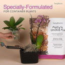 Molly's Orchid Mix - Premium Soilless Potting Mix for Orchids - Contains Bark, Coco Chips, Akadama, Pumice, Lava Rock, 11 Liters by GreenHaven Gardens