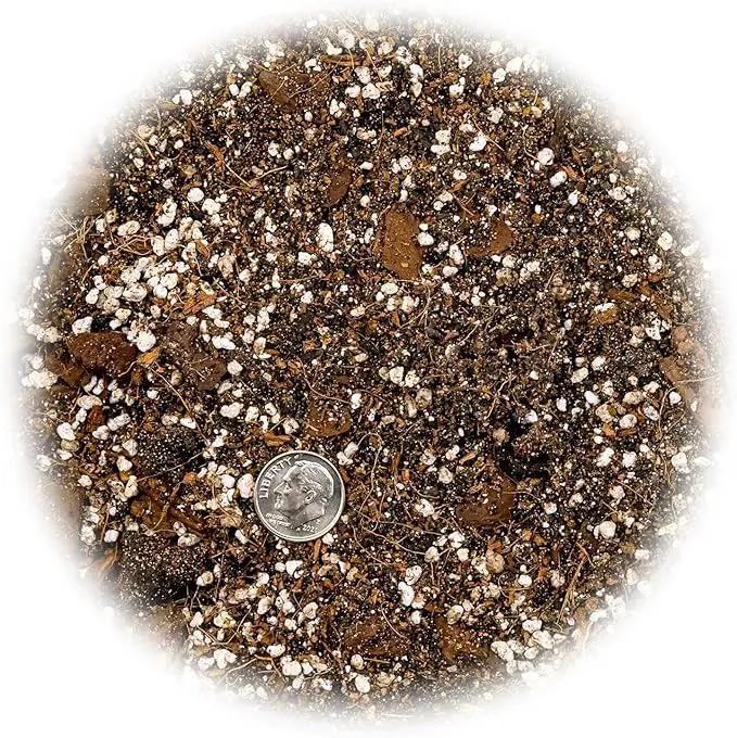 Fiddle Leaf Fig House Plant Soil Premium All Purpose Blend - Peat Moss, New Zealand Bark, Coco Chips and Fibers, Perlite - 5 Quart Bag, photo 2 of 4