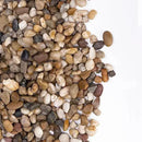 2.5 lbs Drainage Rocks for Potted Plants, 1/5 Inch Small Pebbles for Indoor Plants, Decorative Gravel for Vases, Bamboo, Succulent, Terrarium, Crafts, Cactus by CozyNest Decor