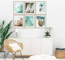 EVPYXFUT Set of 6 Tropical Beach Canvas Wall Art Surf Poster Summer Ocean Coastal Pictures Turtle Print Palm Tree Surfboard Gallery Paintings Nautical Bus Wall Decor for Bedroom Bathroom Unframed by CozyNest Decor