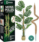 63'' Bendable Moss Pole Monstera Plant Support for Climbing Indoor Plants - Stakes for Potted Climbers - Tall Sticks Indoor Trellis for Houseplants - Accessories for Monstera Pot by GreenHaven Gardens