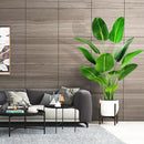 5.5ft Artificial Silk Bird of Paradise Palm Tree (65in) with 12 Trunks Faux Tree and Plastic Nursery Pot, Fake Plant for Office House Farmhouse Living Room Home Decor (Indoor/Outdoor) by CozyNest Decor
