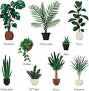 Indoor Plant Food | All-purpose House Plant Fertilizer | Liquid Common Houseplant Fertilizers for Potted Planting Soil | by Aquatic Arts by GreenHaven Gardens
