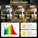 bseah Grow Light, Plant Light for Indoor Plants 2 Pack, Full Spectrum Desk Grow Lamp with Pedestal, Automatic Timer for 3H/9H/12H, 10 Dimmable Levels, Height Adjustable by GreenHaven Gardens