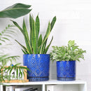 8 Inch + 6 Inch Indoor Plant Pot with Drainage Holes and Saucers, Ceramic Planter for Plants Succulent Orchid Flower Pots by CozyNest Decor