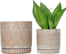 8 Inch + 6 Inch Plant Pot with Drainage Holes and Saucers, Indoor Ceramic Planter for Plants Succulent Orchid Flower Pots by CozyNest Decor