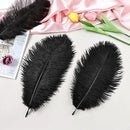 THARAHT Black Ostrich Feathers 24pcs Natural Bulk 8-10Inch 20cm-25cm for Crafts Wedding Party Centerpieces Halloween and Home Decoration Feathers by CozyNest Decor