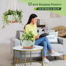 Hanging Planters for Outdoor Indoor Plants, 2 Pack 12 Inch Hanging Basket Plants Outdoor, Self Watering Hanging Planter with Plant Hanger for Garden Home Decoration (Green) by GreenHaven Gardens