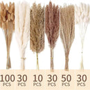 240 PCS Dried Flower Bouquet – Pampas Grass, Floral Decor for Home, Wedding, and Boho Style | Perfect for Vases, Fall, Spring, Summer, and Winter Arrangements by CozyNest Decor