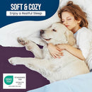 Utopia Bedding Waterproof Mattress Protector Queen Size, Premium Terry Mattress Cover 200 GSM, Breathable, Fitted Style with Stretchable Pockets (Purple) by TinyTreasures Baby Boutique