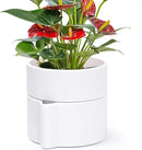 Phoenix Vine 6.5 Inch Self-Watering Planter Pot with Terracotta Insert, Deep Water Reservoir, and Ceramic-Alike BPA-Free Plastic Pot for Plant, Modern Planter for Houseplants, White, 53-A-S-1 by CozyNest Decor