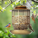 Bird Feeder for Outdoors, Funnel Style Wild Finch Feeders for Outside Hanging Courtyard Bird Watching, Metal Birdfeeder with Lid Fixing Buckle, 3Lbs Capacity by CozyNest Decor