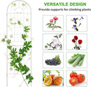 LZRS 2 Pack 71x20in Rustic Iron Arch Decoration Garden Trellis with Black Metal Coating – Perfect for Supporting Climbing Plants Outdoor, Roses, Vines, Flowers, and Vegetables. by GreenHaven Gardens