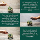 Cute Farms Terrarium Starter Kit | Moss, Vermiculite, Soil, Pebbles, Plant Food, Finishing Tools, Build and Care Guide | DIY Succulent Terrarium for Adults and Kids (Medium) by CozyNest Decor