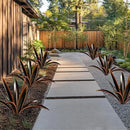 TOMBABY Enlarge Thickened Wind Resistant Metal Agave Garden Art Plant Country Garden Sculpture Statue Outdoor Decoration Agave Metal Plant Courtyard Ornament Gift (2, 12 Leaves Black) by CozyNest Decor