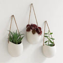 Wall Planters -Ellie- | Hanging Ceramic Plant Pots 3 Pieces | Wall Decoration for Indoors, Balcony and Garden | Cream (Matte) by GreenHaven Gardens